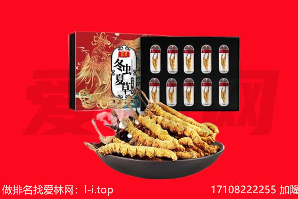 河北区回收虫草.jpg